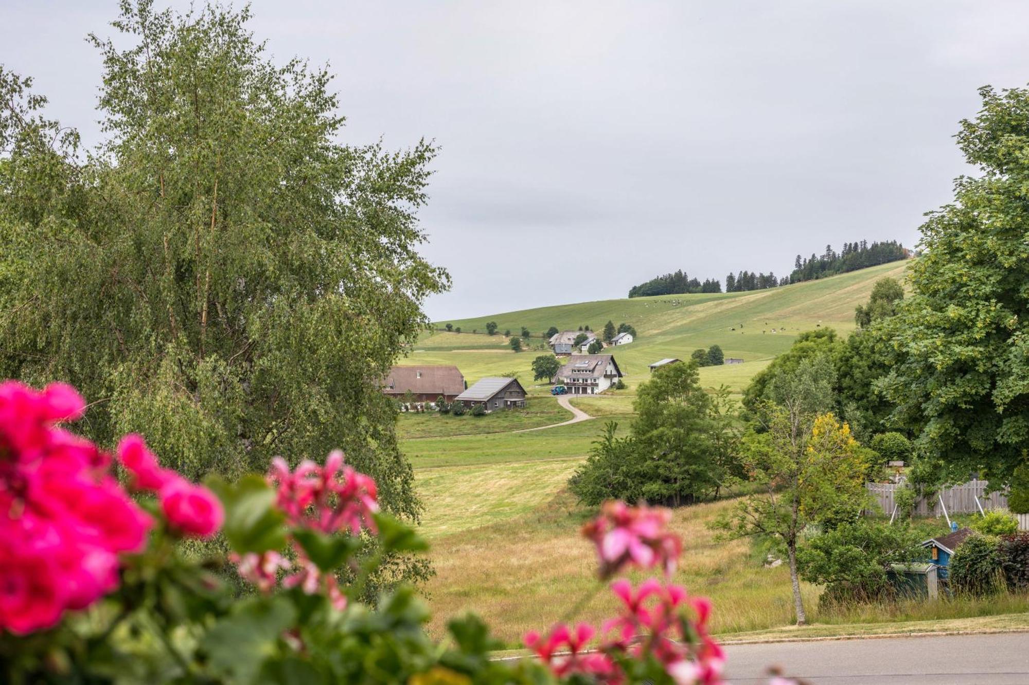 Apartmán Weitblick Breitnau Exteriér fotografie