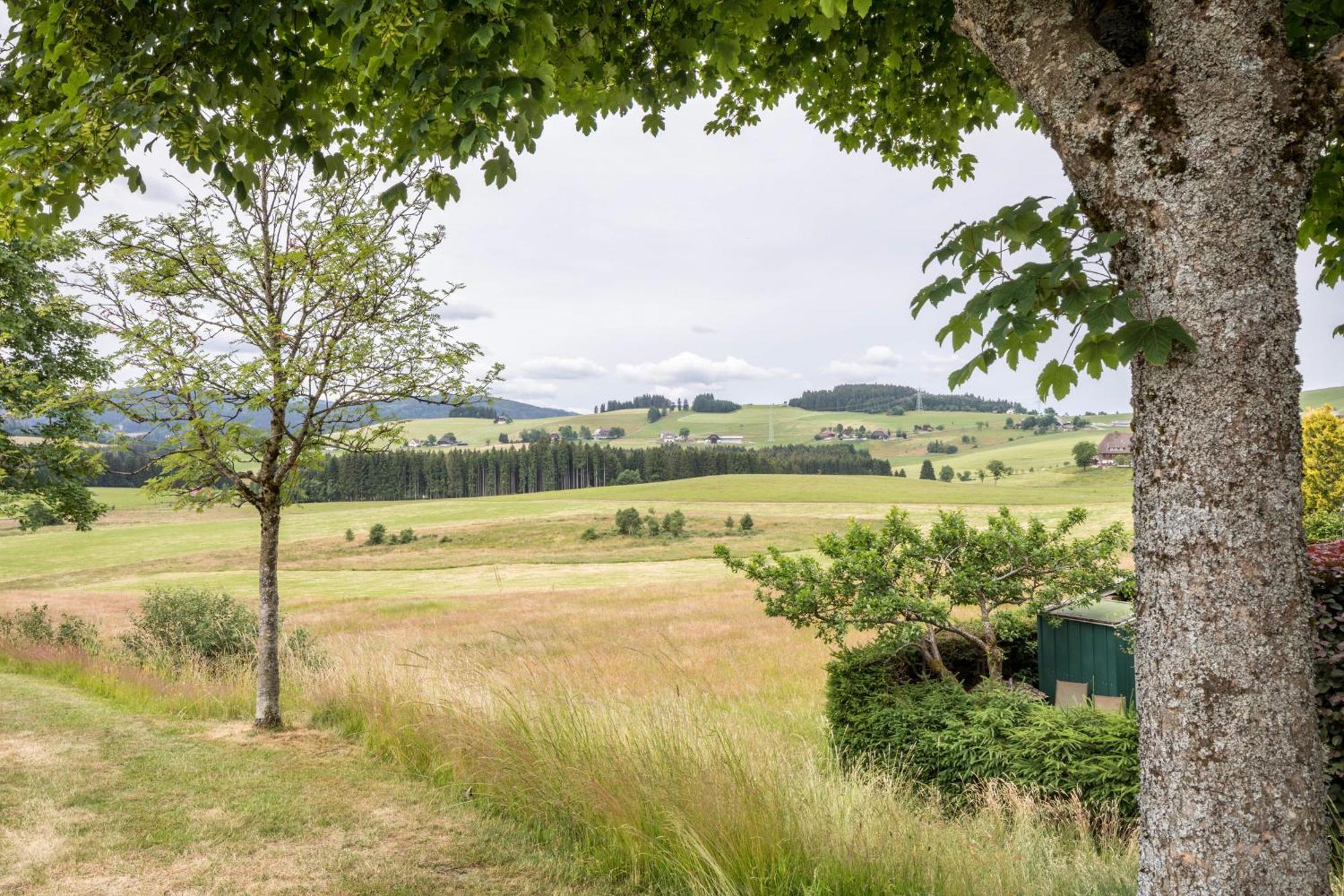 Apartmán Weitblick Breitnau Exteriér fotografie